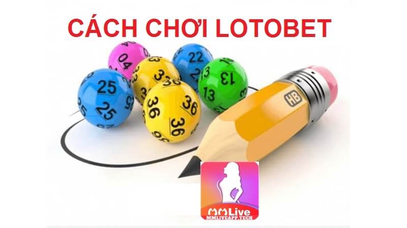 Hướng dẫn chi tiết cách chơi Lotobet tại app MMlive