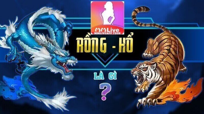 Rồng hổ MMlive